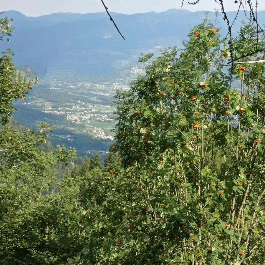 La Casa Di Anna Nel Parco Delle Dolomiti Croce D' Aune 1000 Ml Slm Pedavena